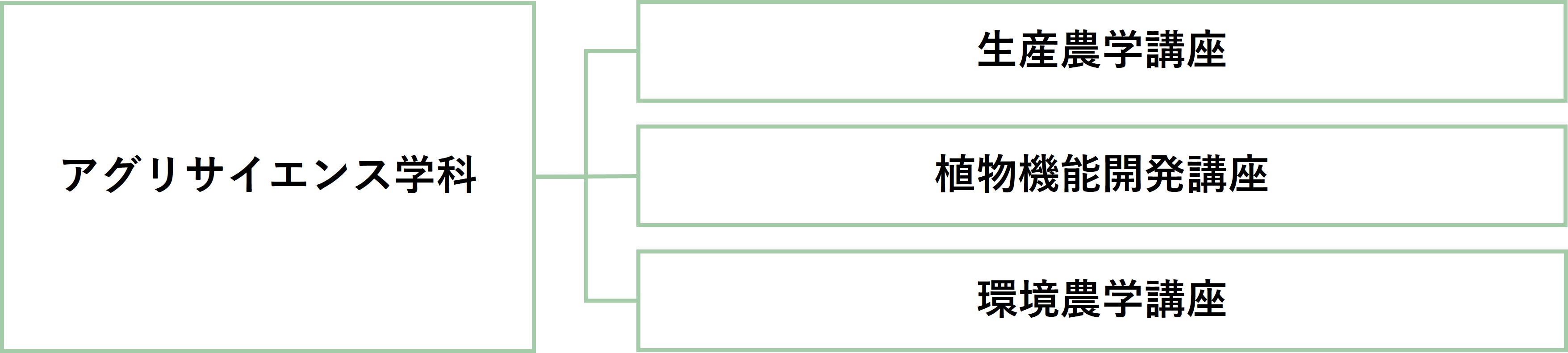 学科の研究分野