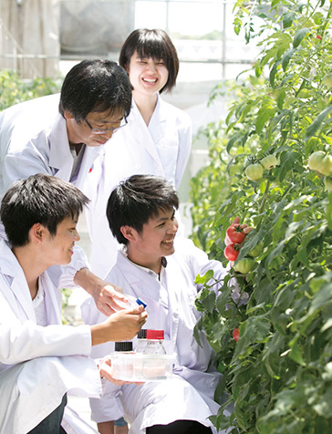 フィールドからアグリバイオまでを学ぶ