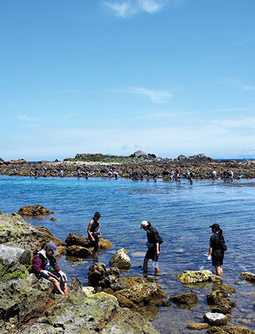 海洋生物について幅広く学べる学科