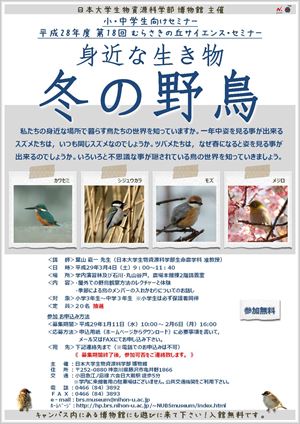 サイセミ18