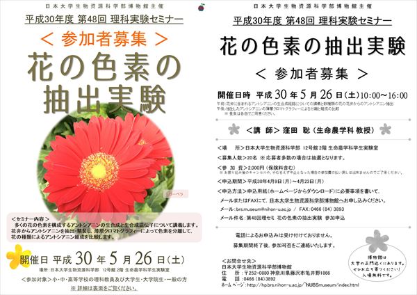 理セミ48