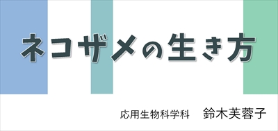 ミニ展