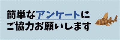 アンケート