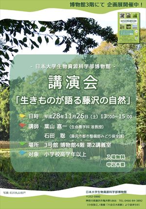 H28-2「藤沢展」