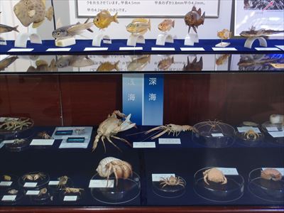 第Ⅱ部展示紹介