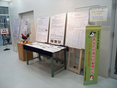 家畜展