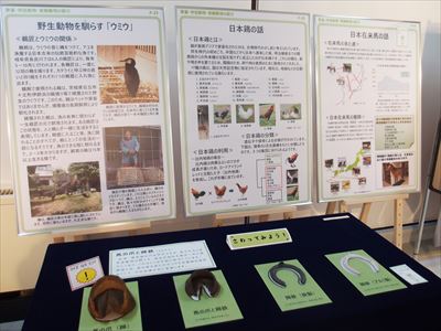 家畜展