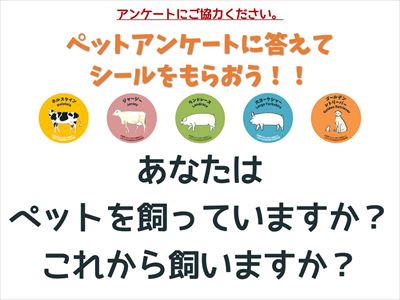 家畜展