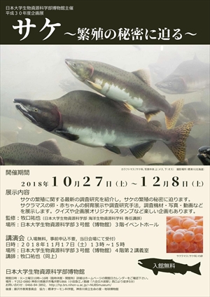 サケ展
