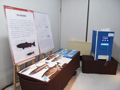 サケ展