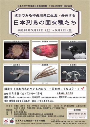 企画展