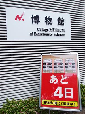 H28-1「標本で見る固有種」