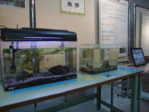 企画展
