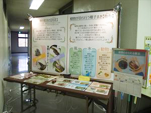 さわれる展示コーナー