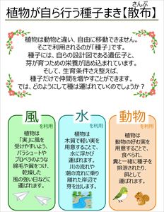 散布