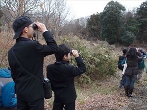 18サイセミ
