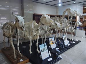 1階展示室