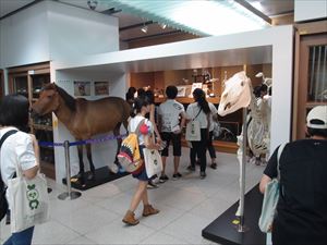 H29オーキャン