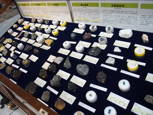 常設展示紹介