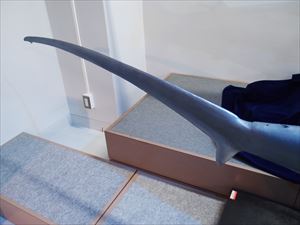マオナガ