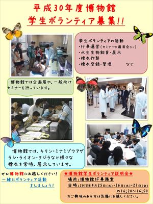 ボランティア募集