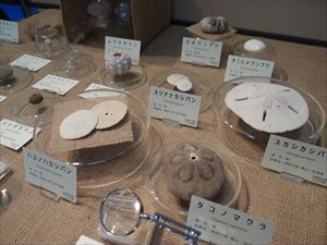 ミニ展2