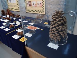ミニ展2