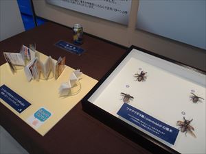 ミニ展2