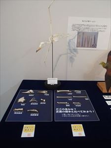 ミニ展2