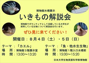 おさかな解説2018