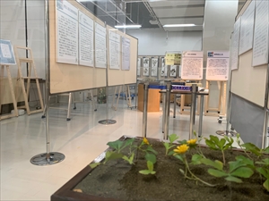 植物展