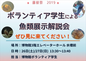 学部祭