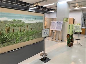 植物誌