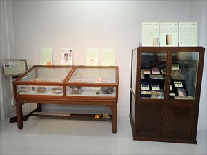 森八郎コレクション