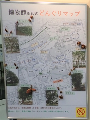 どんぐりマップ