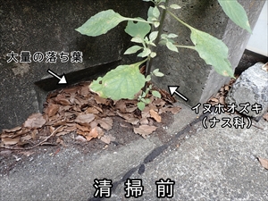 清掃前