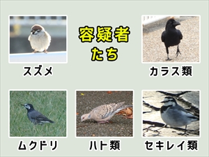 容疑者たち