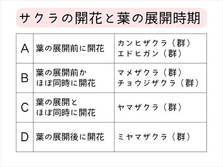 開花