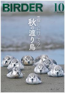 バーダー表紙