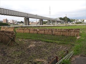田んぼの中の三角屋根