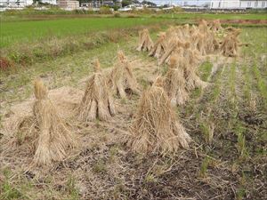 田んぼの中の三角屋根