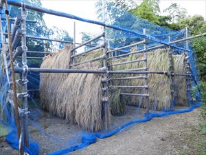 田んぼの中の三角屋根