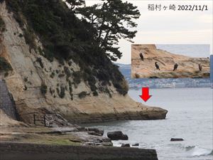 稲村ケ崎