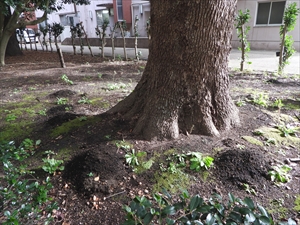 モグラ塚
