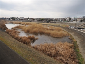 今田遊水地