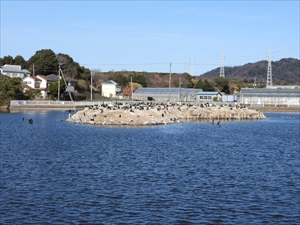 轡堰