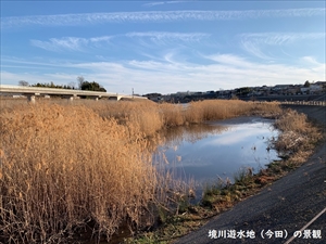 境川遊水地