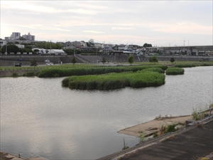 今田遊水地
