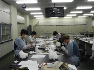 博物館実習の様子