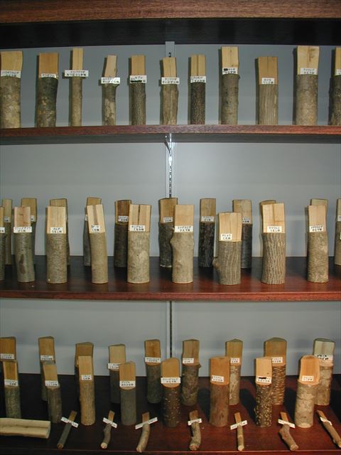 展示物